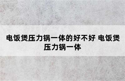 电饭煲压力锅一体的好不好 电饭煲压力锅一体